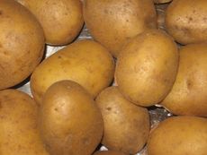 Kartoffeln.JPG
